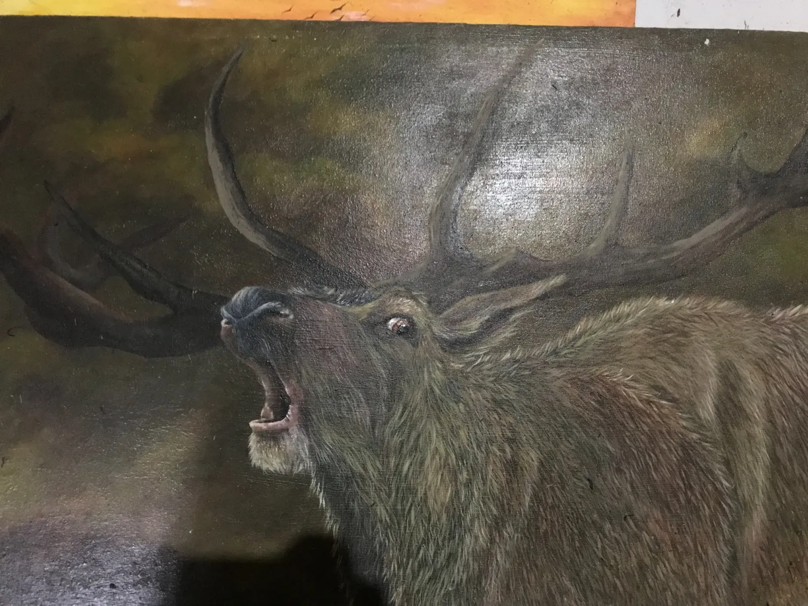 Wild Life Artwork 16